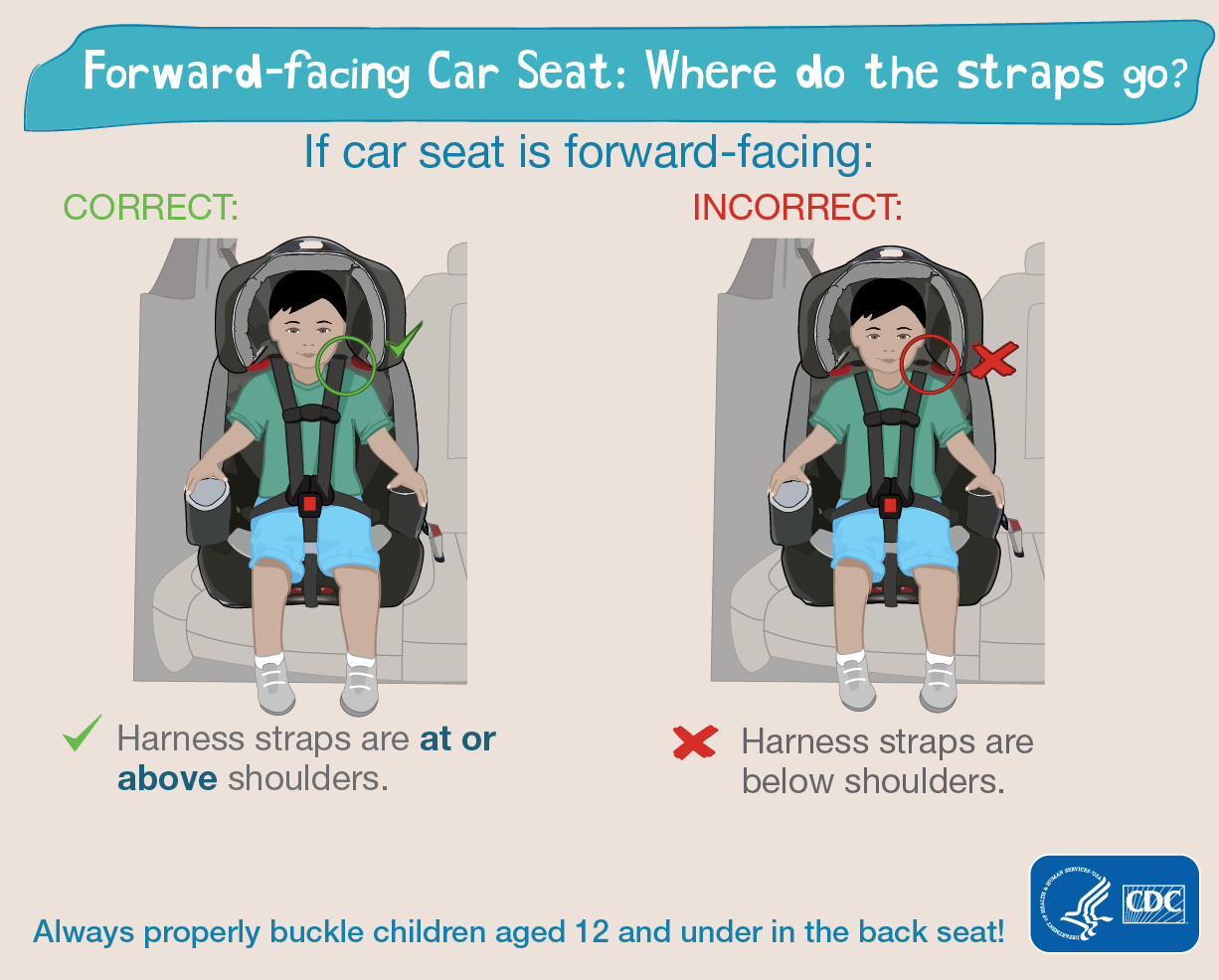 Child Safety Seats Charles County Department of Health